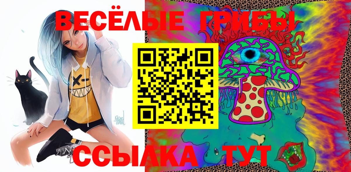Апшеронск  Галлюциногенные грибы GOLDEN TEACHER  купить  цена  Вход с VPN 