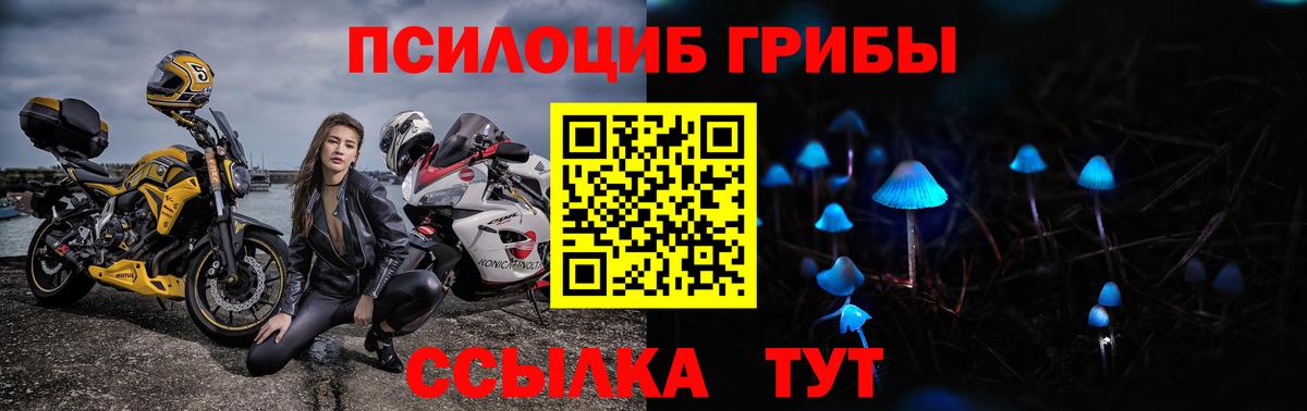 Галлюциногенные грибы GOLDEN TEACHER Апшеронск